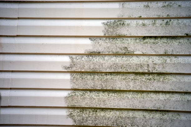 Best Weatherproofing and Sealing  in Folsom, NJ