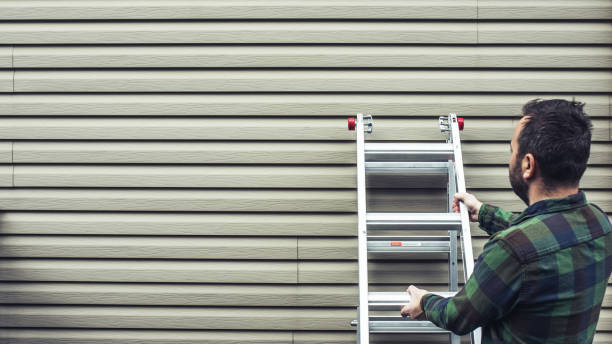 Best Storm Damage Siding Repair  in Folsom, NJ