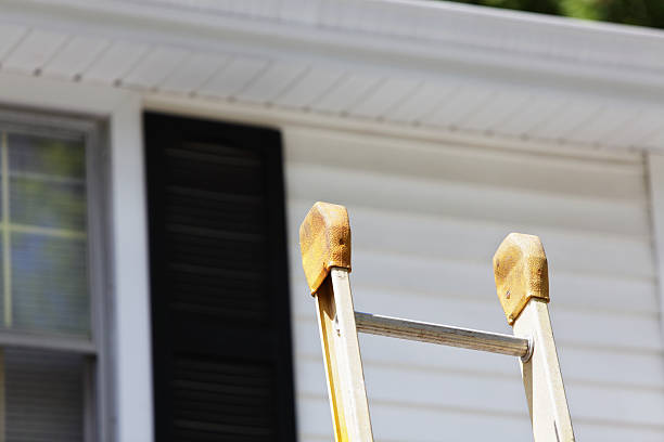 Best Insulated Siding Installation  in Folsom, NJ
